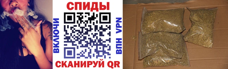 где найти наркотики  блэк спрут как зайти  Бутират 1.4BDO  Котово 