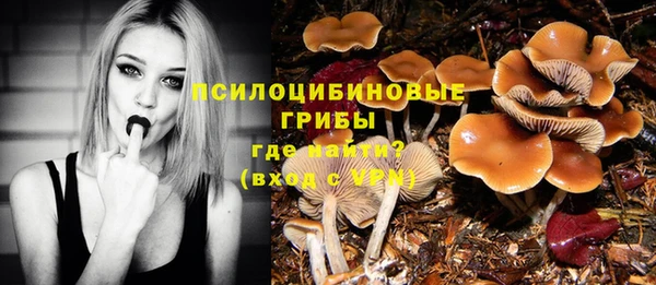 мескалин Алексин