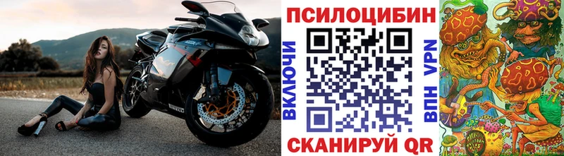 Псилоцибиновые грибы Psilocybe  где купить наркоту  Котово 
